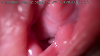 Close-Up Of Gapping Pussy And Internal Cumshot With Dirty Talk