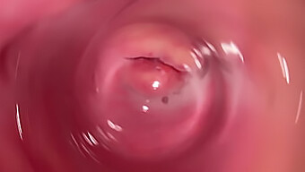 Vídeo Pov De Un Masaje Con Un Primer Plano De La Vagina