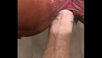 Hairy Ass Gets Dirty With Dildo In Bathroom