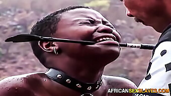 Ebony Slaves Humiliated And Punished