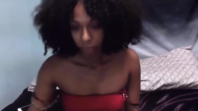 African American Woman Indulges In Sensual Solo Play