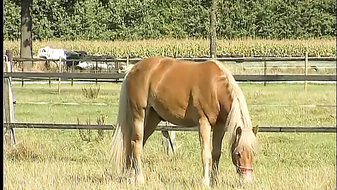 Jonge Boer Geeft Zich Over Aan Zelfgenoegzaamheid Buiten