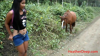 Peeing In The Wilderness Alongside A Horse