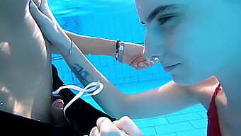 Encontro À Beira Da Piscina De Darcy Dark Leva A Uma Aventura Quente No Hotel